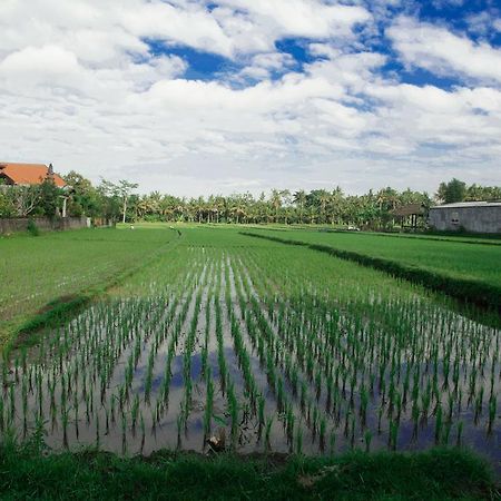 Canang Sari House Убуд Экстерьер фото